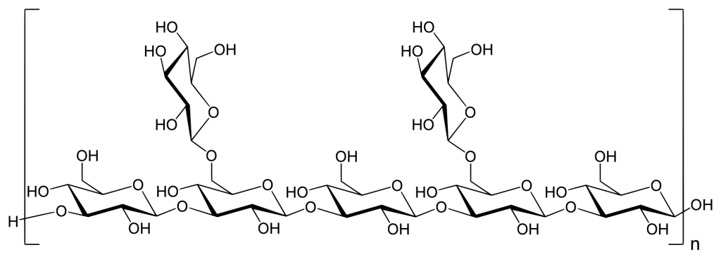 Die molekulare Grundstruktur von Lentinan, ein Beta-Glucan aus Lentinus edodes (Shiitake). Diese Struktur wiederholt sich mehrere Male; das Molekulargewicht von Lentinan ist ca. 500,000 Da.