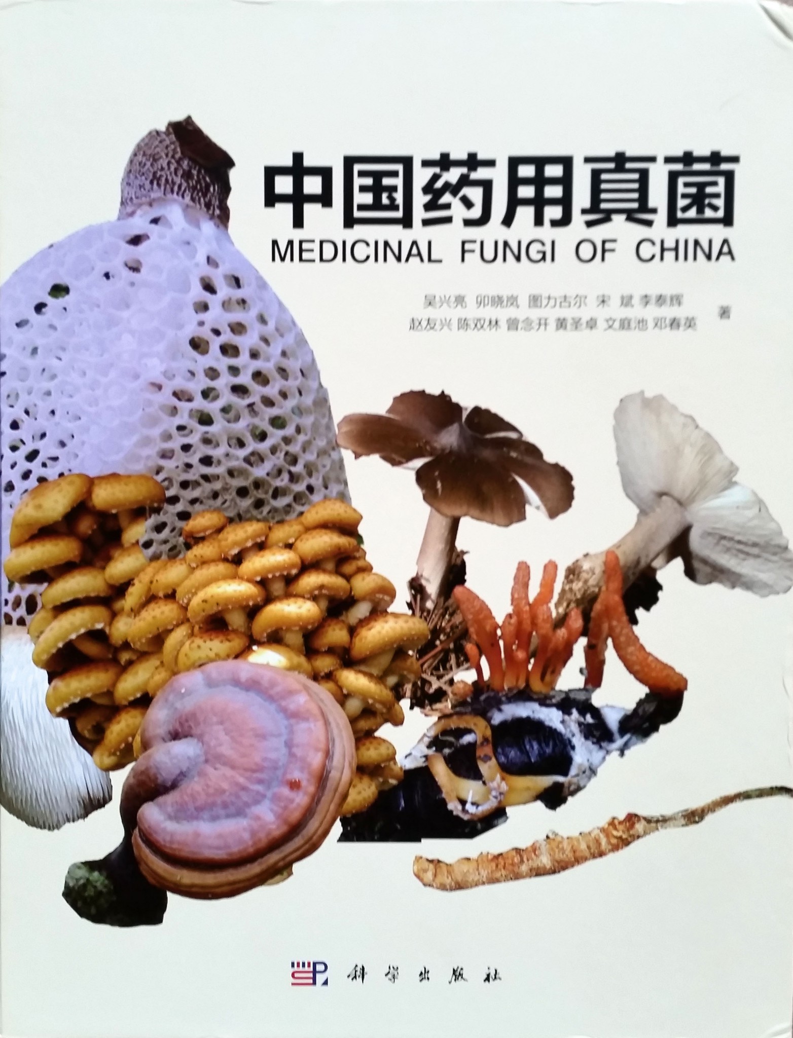 Medicinal Mushrooms in the Eastern Traditions Myko San