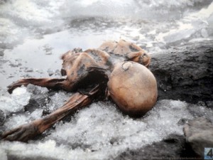 otzi the iceman mummy