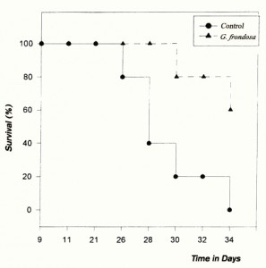 medicinal mushroom extracts improve survival of test animals (graph)