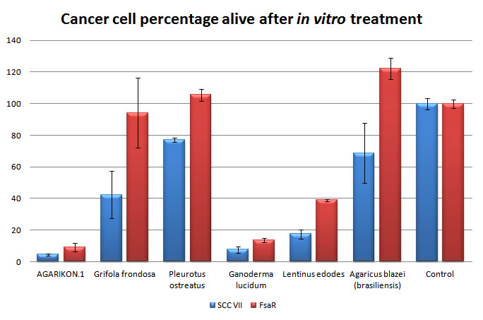 Agarikon.1 Heilpilzextraktmischung hemmt Krebs (Plattenepithelkarzinom und Fibrosarkom) viel besser als ihre einzelnen Komponenten.