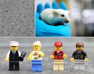 in vitro, in vivo experiments, and clinical trials